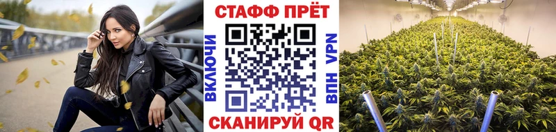 Виды наркотиков купить Зеленодольск КОКАИН  АМФ  NBOMe  Конопля  Меф мяу мяу  СОЛЬ  Метадон 