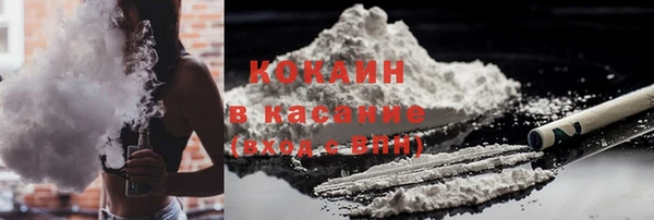 шишки Верхний Тагил