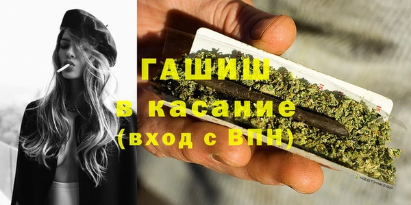 шишки Верхний Тагил