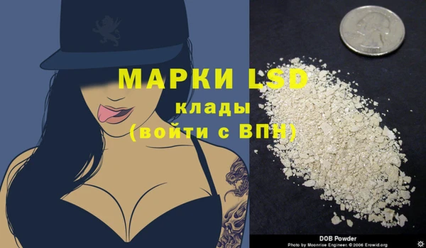 эйфоретик Верея