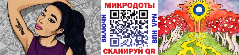 Галлюциногенные грибы мухоморы купить наркотики сайты Зеленодольск